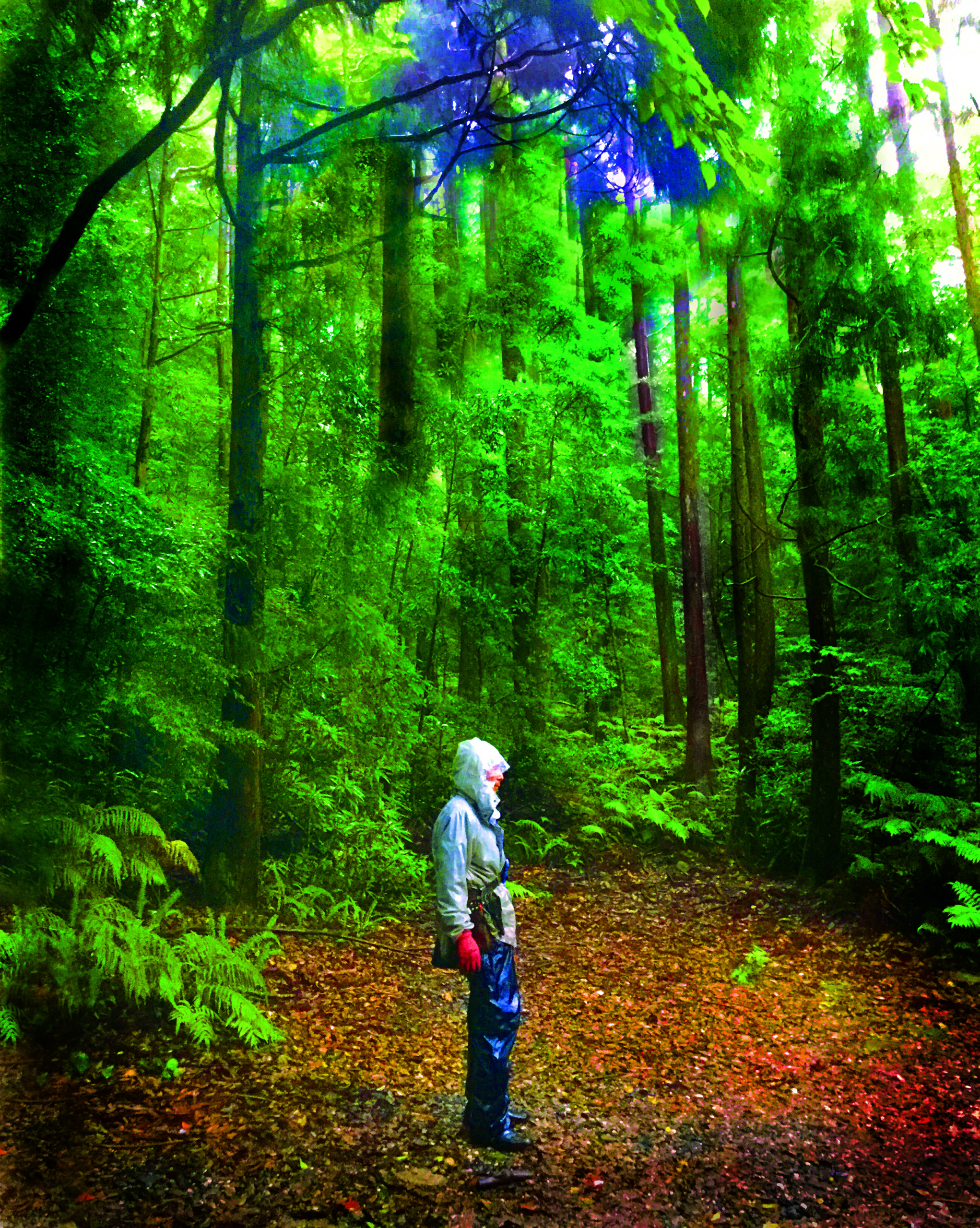 杜人（もりびと）～環境再生医 矢野智徳の挑戦